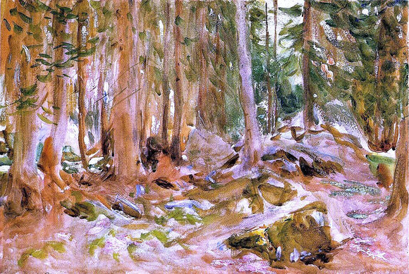  John Singer Sargent Pine Forest - Canvas Art Print