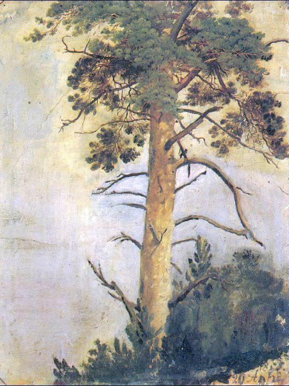  Ivan Ivanovich Shishkin Pine on Rock (etude) - Canvas Art Print