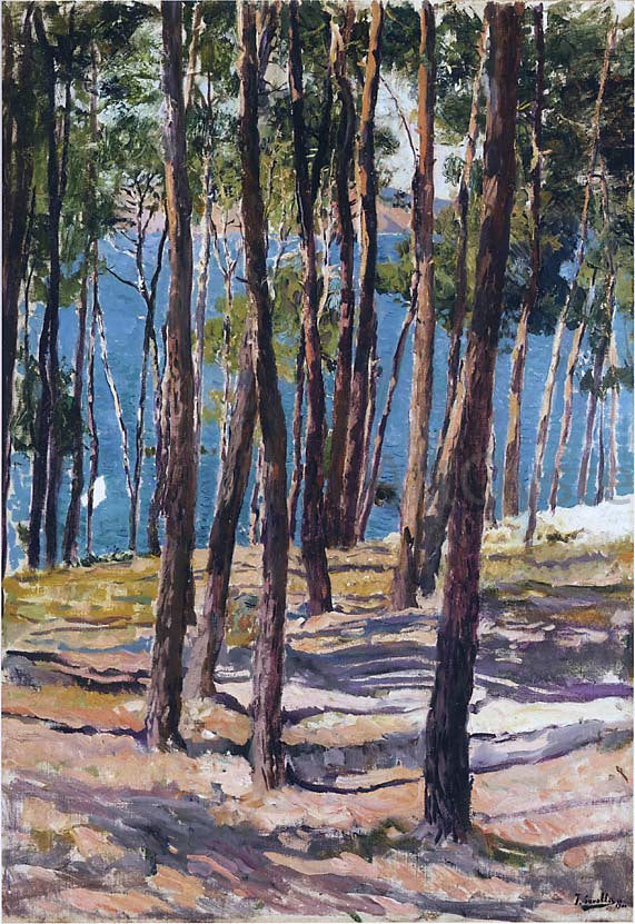  Joaquin Sorolla Y Bastida Pine Trees - Canvas Art Print