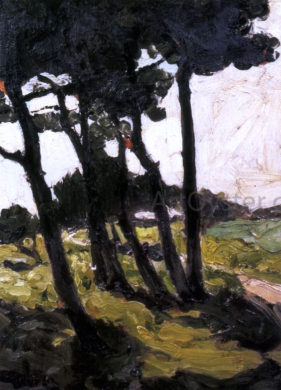  Max Bohm Pine Trees - Equihen, France - Canvas Art Print