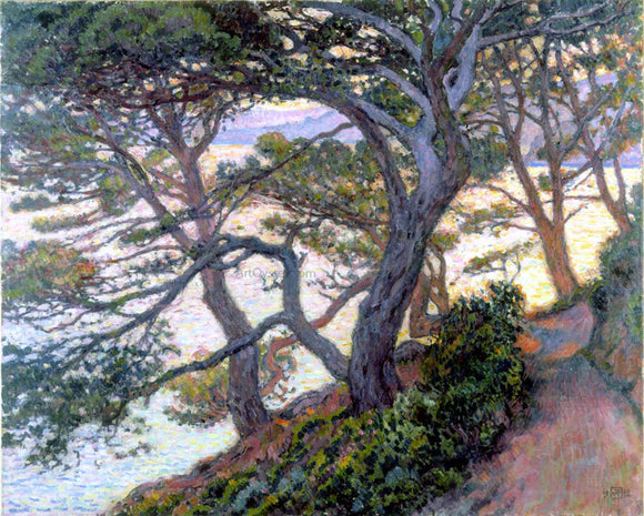  Theo Van Rysselberghe Pines of Rayol - Canvas Art Print