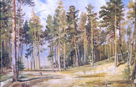  Ivan Ivanovich Shishkin Pines, Sunny day (etude) - Canvas Art Print