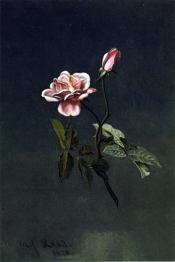  Martin Johnson Heade Pink Rose - Canvas Art Print