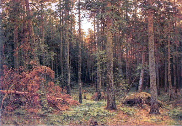  Ivan Ivanovich Shishkin Piny wood - Canvas Art Print