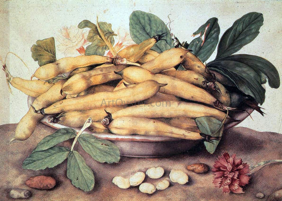  Giovanna Garzoni Plate of Peas - Canvas Art Print