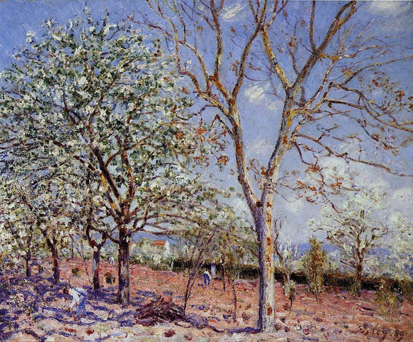  Alfred Sisley Plum and Walnut Trees in Spring - Canvas Art Print