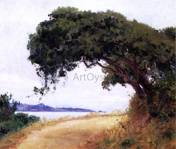  Guy Orlando Rose Point Lobos, Oak Tree - Canvas Art Print