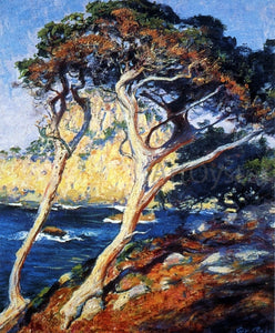  Guy Orlando Rose Point Lobos Trees - Canvas Art Print