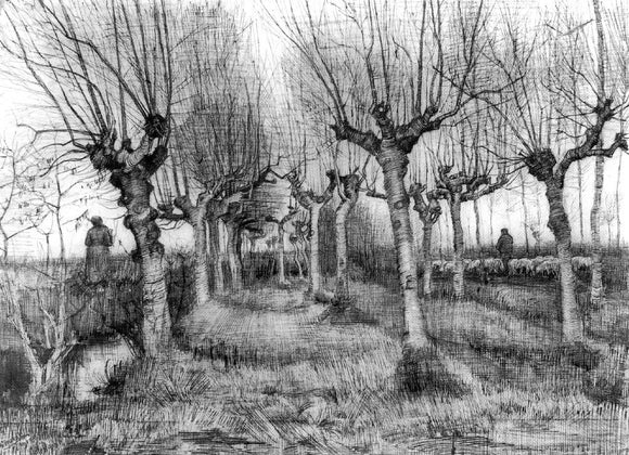  Vincent Van Gogh The Pollard Birches - Canvas Art Print