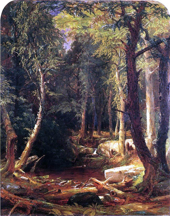  Jasper Francis Cropsey Pool in the Woods - Canvas Art Print
