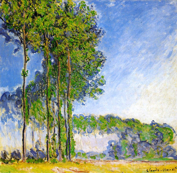  Claude Oscar Monet Poplars, View from the Marsh - Canvas Art Print