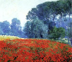  Guy Orlando Rose Poppy Field - Canvas Art Print