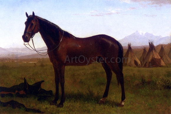  Albert Bierstadt Portrait of a Horse - Canvas Art Print