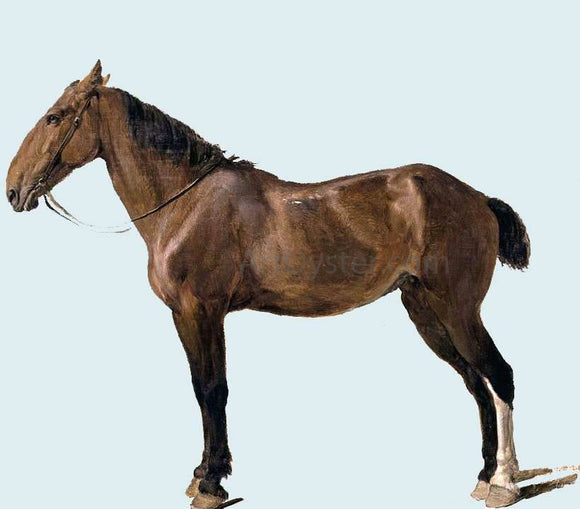  Jacques-Laurent Agasse Portrait of a Horse - Canvas Art Print