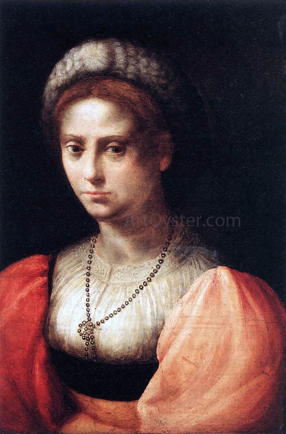  Domenico Puligo Portrait of a Lady - Canvas Art Print