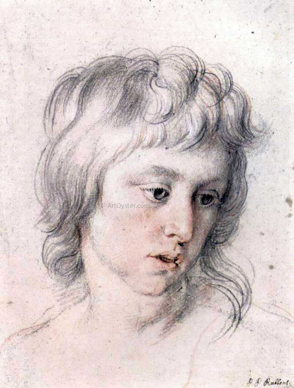 Peter Paul Rubens Portrait of Boy - Canvas Art Print