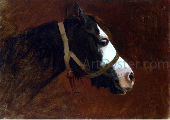  Jean-Leon Gerome Profile of a Horse - Canvas Art Print