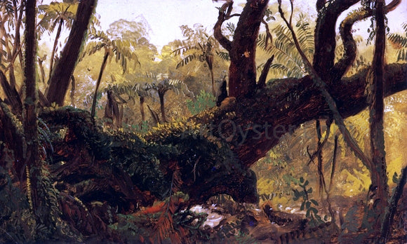  Frederic Edwin Church Rain Forest, Jamaica, West Indies - Canvas Art Print