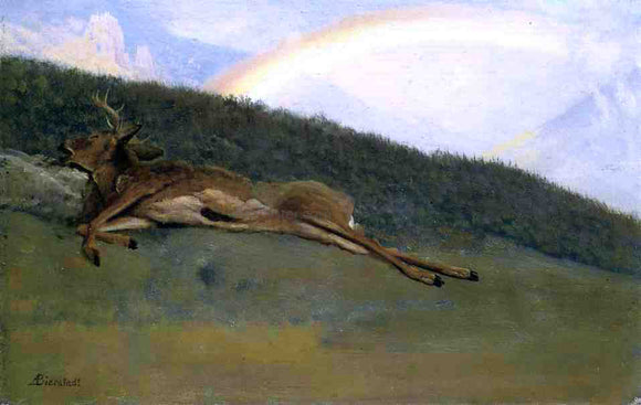  Albert Bierstadt Rainbow over a Fallen Stag - Canvas Art Print
