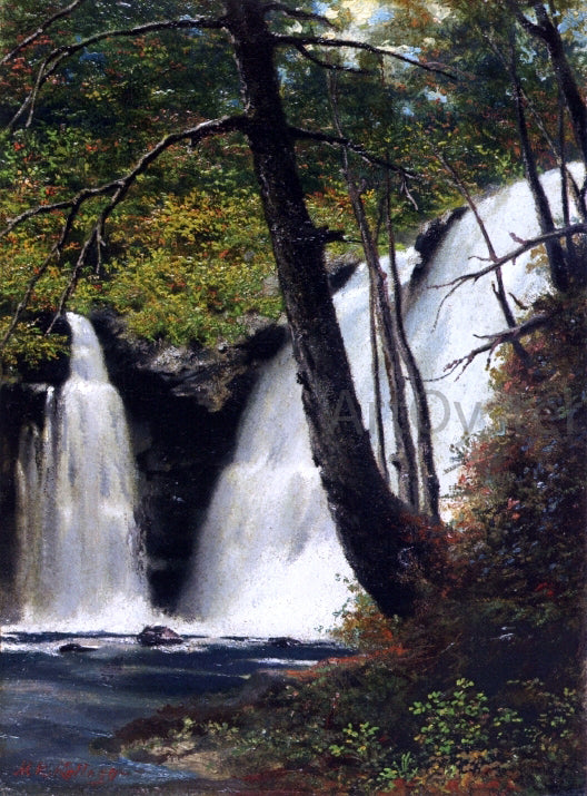  Miner Kilbourne Kellogg Raymondskill Falls, Pike County, Pennsylvania - Canvas Art Print