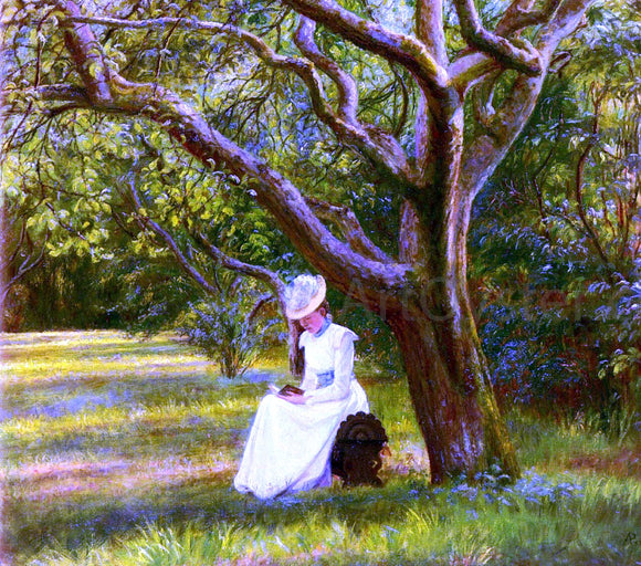  Micholine Christine Poulsen Reading In The Park - Canvas Art Print