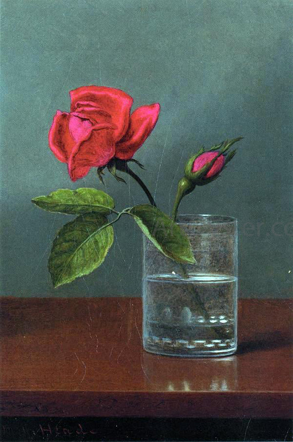  Martin Johnson Heade Red Rose and Bud in a Tumbler on a Shiny Table - Canvas Art Print