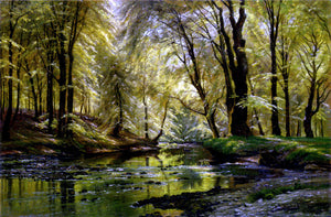  Johannes Boesen Reflections In A Stream - Canvas Art Print