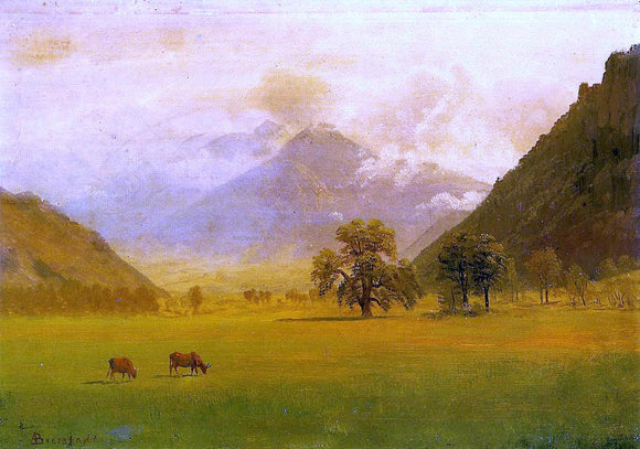  Albert Bierstadt Rhone Valley - Canvas Art Print