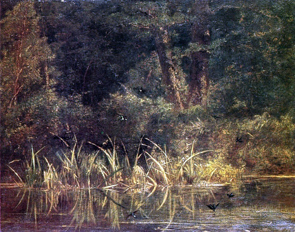  Karl Bodmer River Scene with Barn Swallows - Canvas Art Print