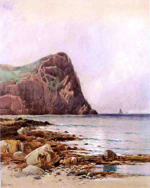  Alfred Thompson Bricher A Rocky Coast - Canvas Art Print