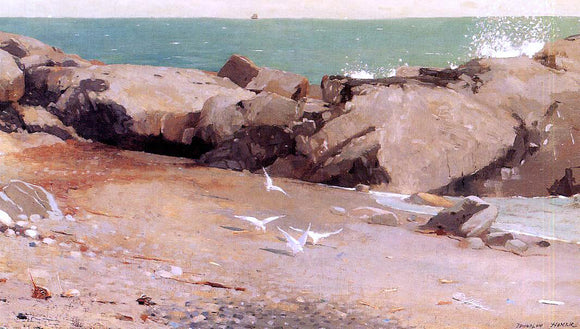  Winslow Homer Rocky Coast and Gulls - Canvas Art Print