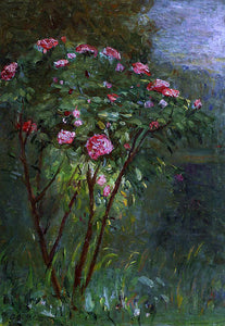  Gustave Caillebotte Rose Bush in Flower - Canvas Art Print