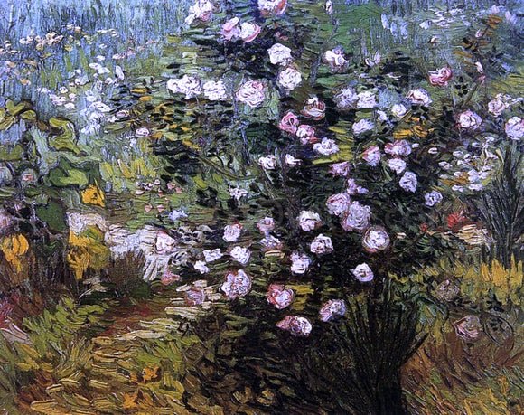  Vincent Van Gogh Rosebush i Blossom - Canvas Art Print