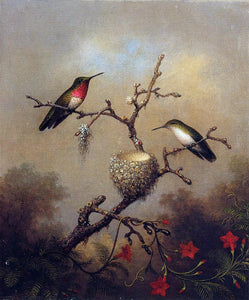  Martin Johnson Heade Ruby-Throated Hummingbird - Canvas Art Print