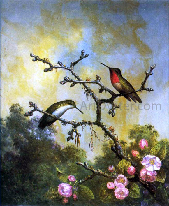  Martin Johnson Heade Ruby-Throated Hummingbirds with Apple Blossoms - Canvas Art Print