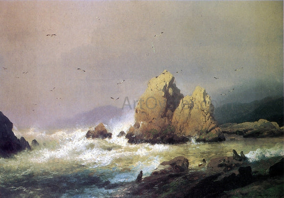  Herman Herzog Seal Rocks - Canvas Art Print
