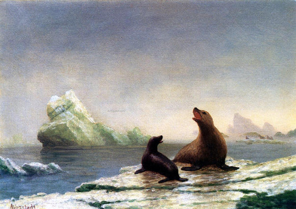  Albert Bierstadt Seals - Canvas Art Print