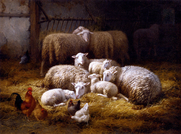  Theo Van Sluys Sheep And Chickens In A Farm Interior - Canvas Art Print