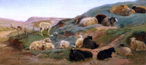  Rosa Bonheur Sheep in a Mountainous Landscape - Canvas Art Print