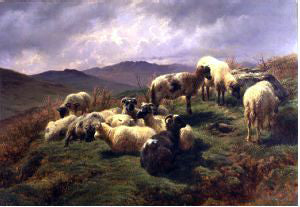  Rosa Bonheur Sheep in the Highlands - Canvas Art Print