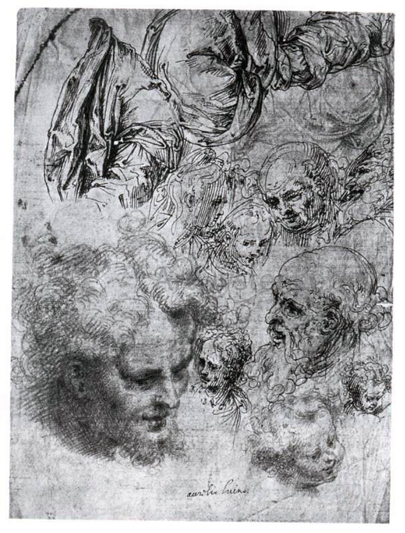  Aurelio Luini Sheet of Studies of Figures and Heads - Canvas Art Print