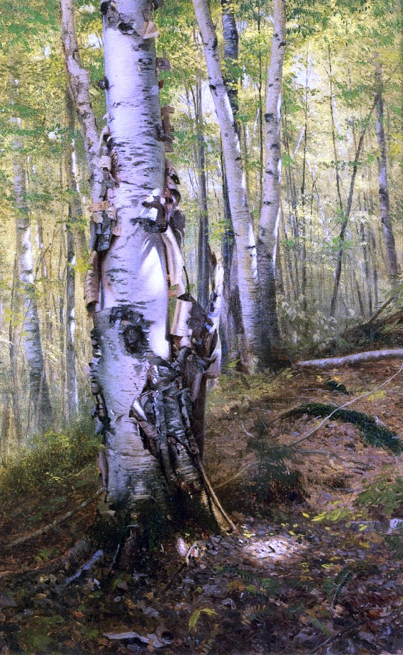  John George Brown Silver Birches - Canvas Art Print