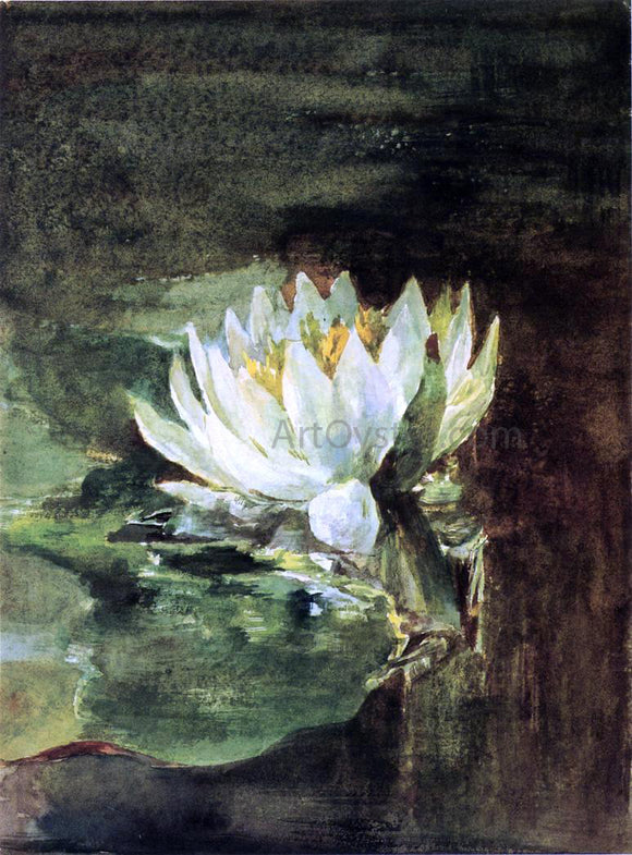  John La Farge Single Water-Lily in Sunlight - Canvas Art Print