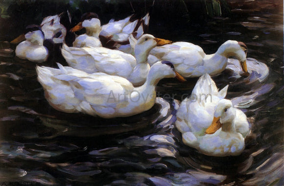  Alexander Koester Six Ducks in a Pond - Canvas Art Print