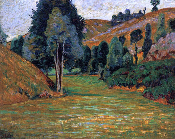  Armand Guillaumin A Small Valley at Pontgibaud - Canvas Art Print