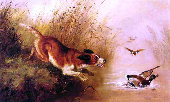  Arthur Fitzwilliam Tait Spaniel Chasing Ducks - Canvas Art Print
