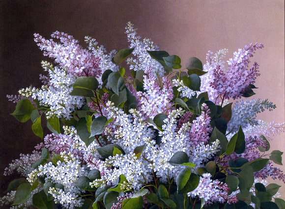  Raoul Paul Maucherat De Longpre Spray of Lilacs - Canvas Art Print