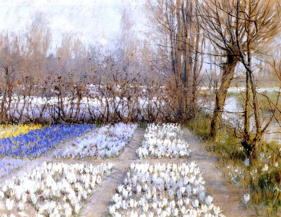  George Hitchcock Spring Crosuc Fields - Canvas Art Print