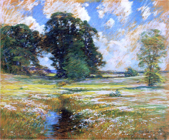  John Appleton Brown Spring Marshland - Canvas Art Print