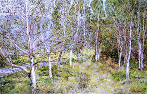  Frederick Childe Hassam Spring Woods - Canvas Art Print